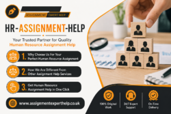 Professional HR Assignment Help for Academic Success