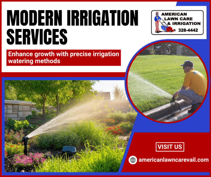 Custom Irrigation System Installation Solution