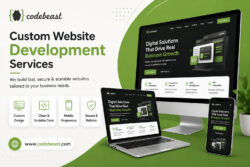 Custom Website Development Services | Code Beast