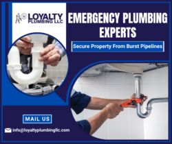 Get Rapid Response For Plumbing Problems