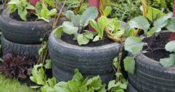 Tyre shredders
