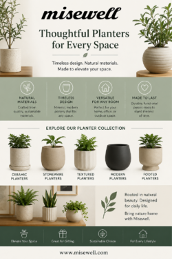 Modern Ceramic Planters for Minimalist Living | Misewell