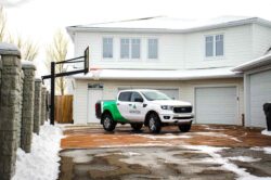 Avayda Pest Control Expert Residential Service in Toronto