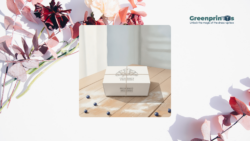 Custom Bakery Boxes – Elevate Your Bakery Brand with Premium Packaging