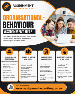 Reliable Organisational Behaviour Assignment Help for Better Grades