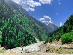 Kashmir Tour Packages to Explore the Beauty of Beautiful Valleys | Travel Junky