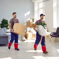 local shifting services in Panchkula