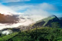 Monsoon Romance with Kerala Honeymoon Tours