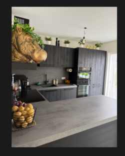 kitchen renovation netherlands