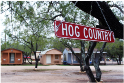 Texas Hog Hunt Adventure Deal
