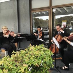 Professional String Quartet Hobart | String Musicians Australia