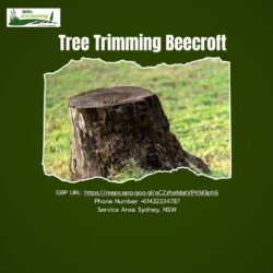 Tree Trimming Beecroft