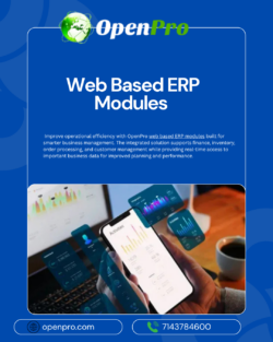 Web Based ERP Modules for Efficient Management