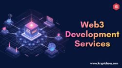 How Do Web3 Development Services Help Build Decentralized Applications?