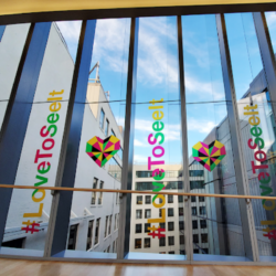 Custom Storefront Window Graphics in Fort Worth West by SpeedPro Fort Worth West