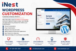 WordPress website customization services