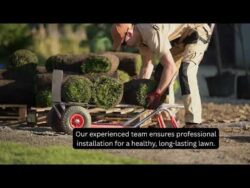 Instant lawn Adelaide