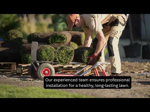 Instant lawn Adelaide