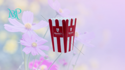 Custom Popcorn Boxes in UK | Protect, Brand & Sell More