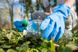 Pet Flakes Manufacturer: Driving Sustainability in the Recycling Industry