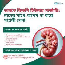 ভারতে কিডনি টিউমার সার্জারি: গুণমানে কোনো আপস না করেই সাশ্রয়ী চিকিৎসা সেবা