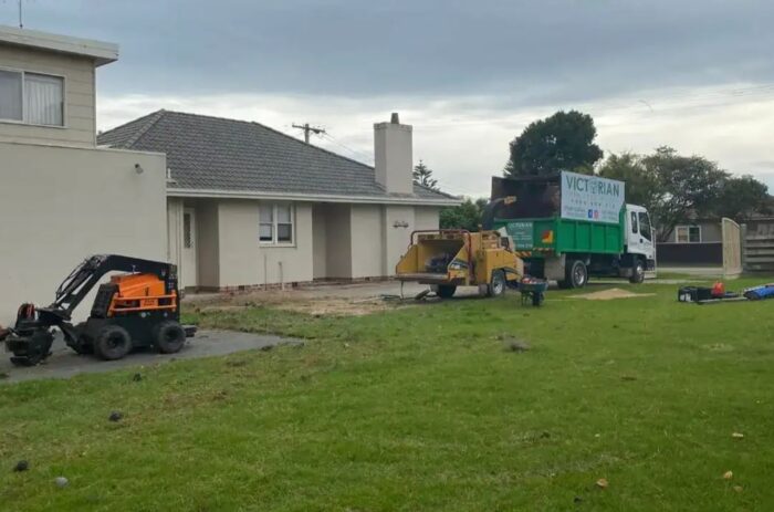 Tree Removal Glen Iris