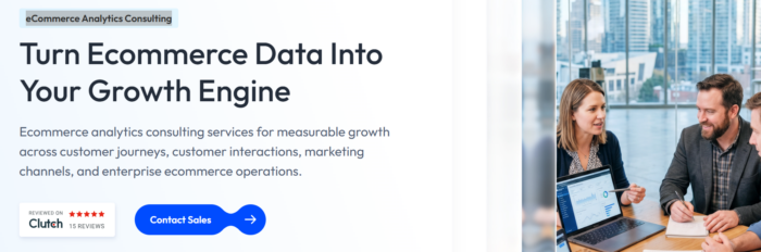 ecommerce analytics consulting