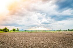 Farm Land Near Bangalore For Peaceful Nature Living At Sangam Farms