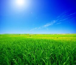 Best Real Estate Deals On Tax Free Agriculture Land Near Bangalore