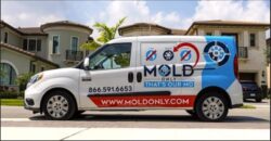 Mold Only: Providing South Florida with Exceptional Mold Removal & Remediation Services