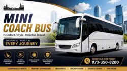 Mini Coach Bus