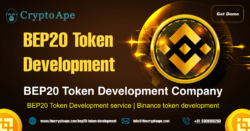 Create Scalable Binance Smart Chain Assets with a BEP20 Token Development Company