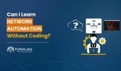 Can I Learn Network Automation Without Coding?