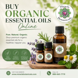 Buy Organic Essential Oils Online for Pure Aromatherapy