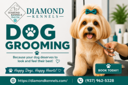 Expert Dog Grooming Services with Gentle Pet Care