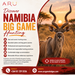 Namibia Big Game Hunting Adventures in Africa’s Untamed Wilderness