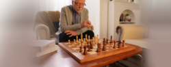 Shop Chess Pro Smart Chessboard Online in USA – Chessnut