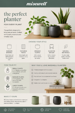 Minimalist Ceramic Planters That Blend Style and Simplicity