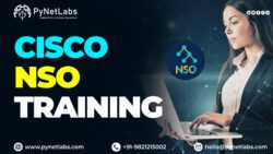 Cisco NSO Training (Essentials for Programmers and Network Architects)