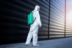 Effective Pest Extermination for Safer Homes and Businesses