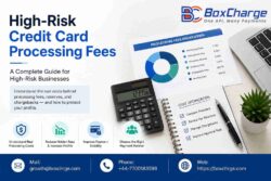 High-Risk Merchant Account Fees Explained in Plain English