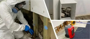 Want Safe and Effective Mould Cleaning Service Today?