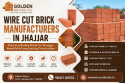 Wire Cut Brick Manufacturer & Supplier, Haryana India
