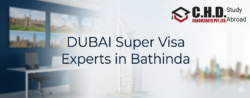 Dubai Dreams Start Here With Super Visa Experts In Bathinda