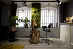 Labbodlade Diamanter med Fantastisk Lyster