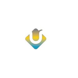 Creative Website Design Auckland Delivering Engaging and User Focused Digital Experiences
