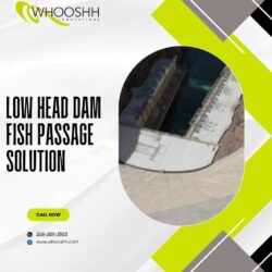 Low Head Dam Fish Passage Solution