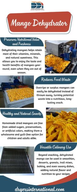 Mango Dehydrator