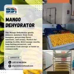 Mango Dehydrator