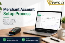 How the Merchant Account Setup Process Supports Business Growth